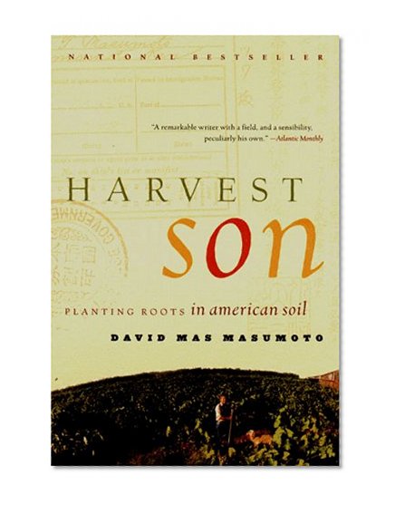 Harvest Son: Planting Roots in American Soil