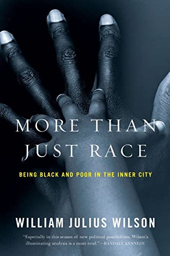 Book Cover More than Just Race: Being Black and Poor in the Inner City (Issues of Our Time)