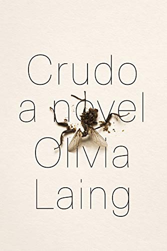 Book Cover Crudo: A Novel