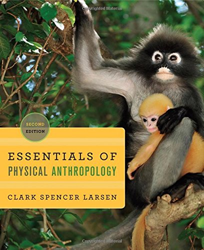 Book Cover Essentials of Physical Anthropology: Discovering Our Origins (Second Edition)