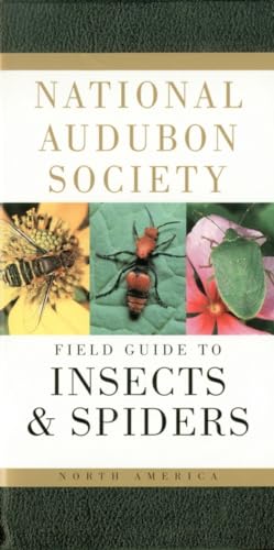 Book Cover National Audubon Society Field Guide to Insects and Spiders: North America (National Audubon Society Field Guides)