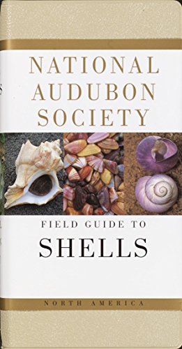 Book Cover National Audubon Society Field Guide to North American Seashells