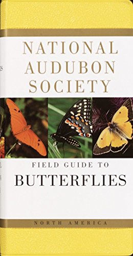 Book Cover The National Audubon Society Field Guide to North American Butterflies