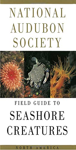 Book Cover National Audubon Society Field Guide to Seashore Creatures: North America (National Audubon Society Field Guides)