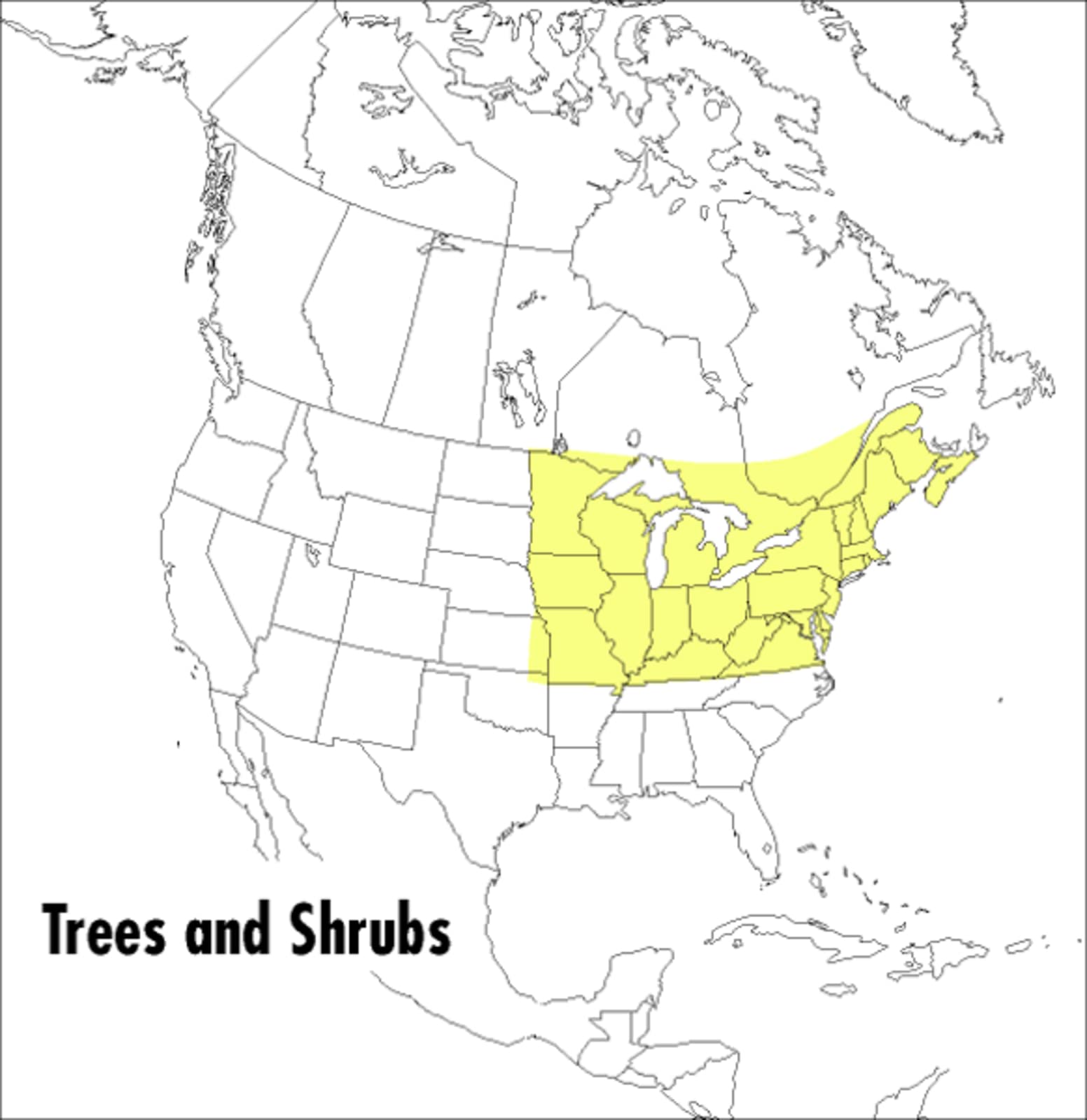 Book Cover A Peterson Field Guide To Trees And Shrubs: Northeastern and north-central United States and southeastern and south-centralCanada (Peterson Field Guides)