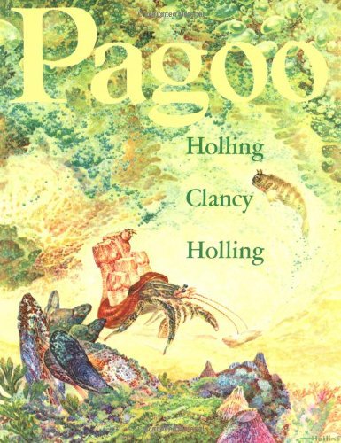 Book Cover Pagoo