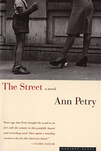Book Cover The Street: A Novel