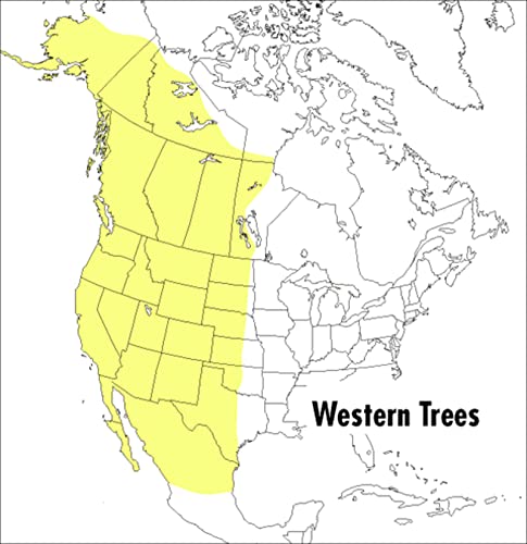 Book Cover A Peterson Field Guide To Western Trees: Western United States and Canada (Peterson Field Guides)
