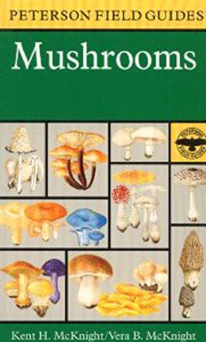 Book Cover A Field Guide to Mushrooms: North America (Peterson Field Guides)
