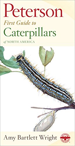 Book Cover Peterson First Guide to Caterpillars of North America