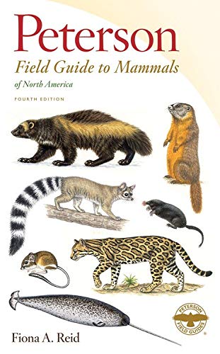 Peterson Field Guide to Mammals of North America (Peterson Field Guides (Paperback))