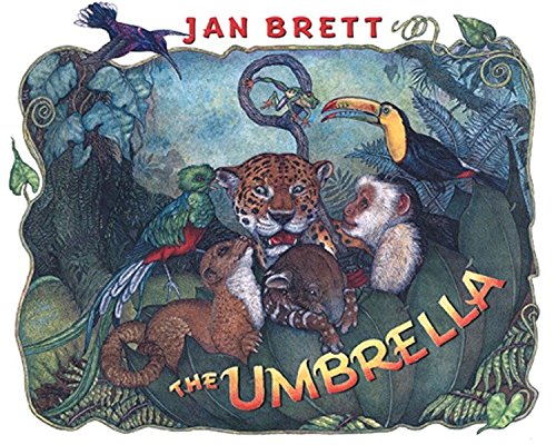 Book Cover The Umbrella