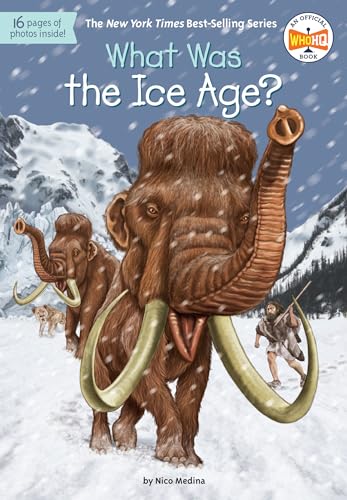Book Cover What Was the Ice Age?