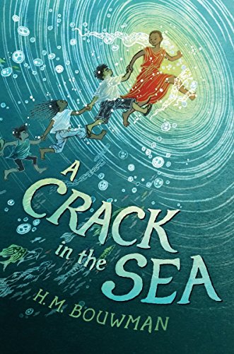 Book Cover A Crack in the Sea