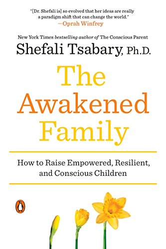 Book Cover The Awakened Family: How to Raise Empowered, Resilient, and Conscious Children