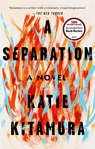 Book Cover A Separation: A Novel