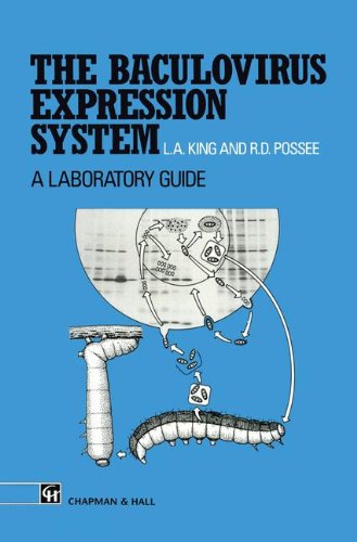 Baculovirus Expression System : A Laboratory Guide