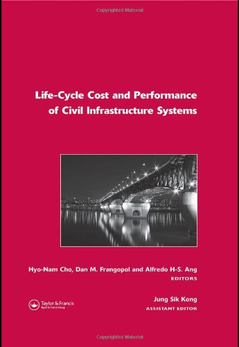 Life-Cycle Cost and Performance of Civil Infrastructure Systems (Balkema: Proceedings and Monographs in Engineering, Water and Earth Sciences)