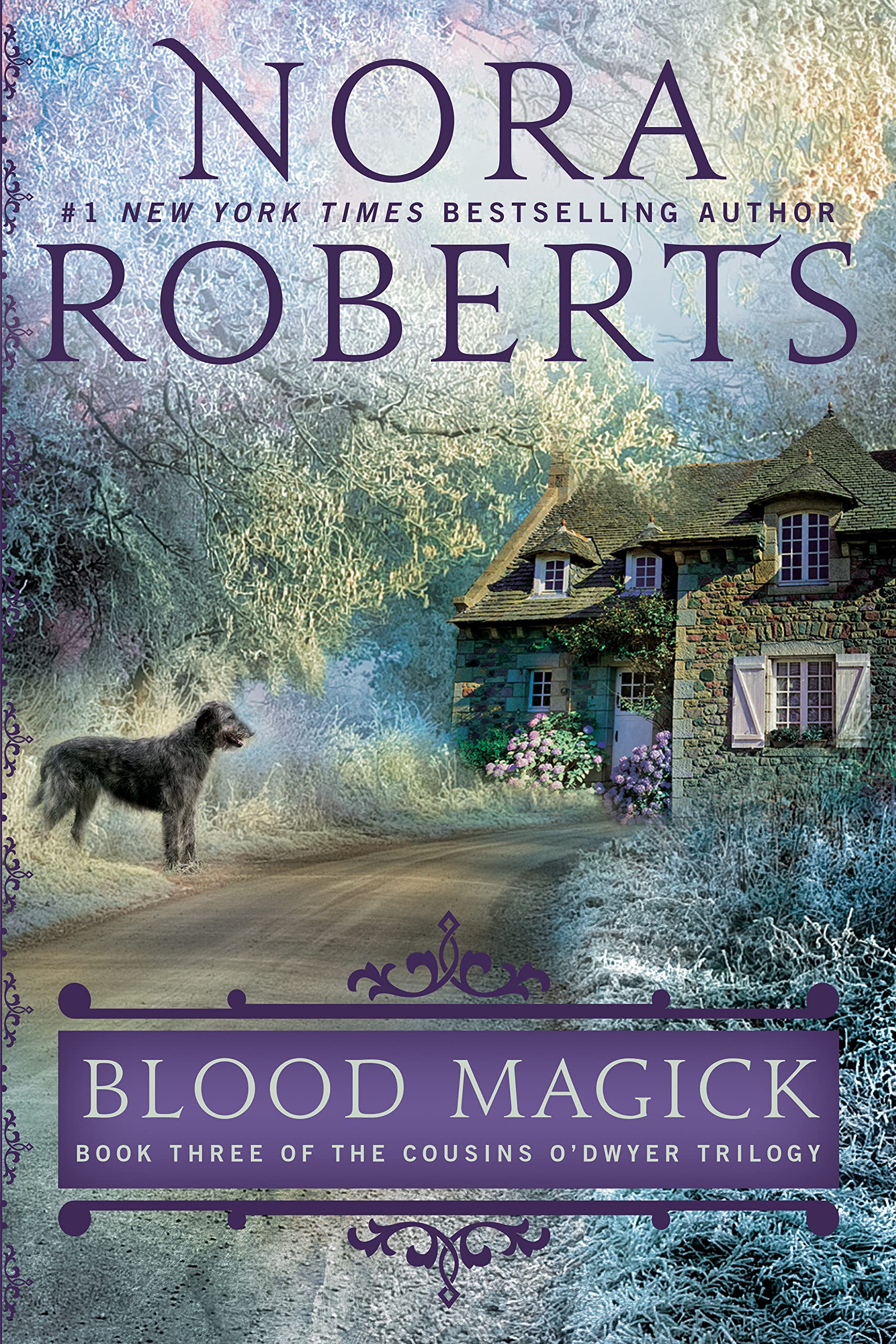 Book Cover Blood Magick (Cousins O'Dwyer)