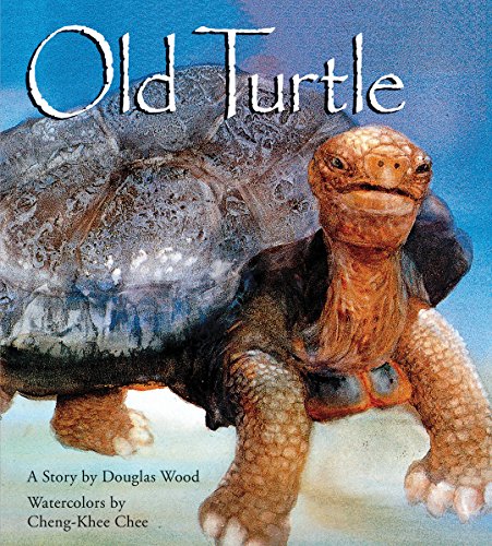 Book Cover Old Turtle (Lessons of Old Turtle)