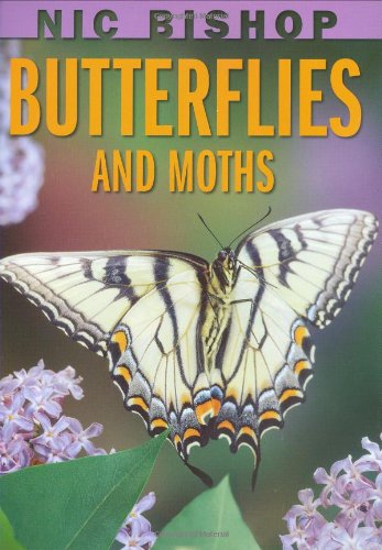 Book Cover Nic Bishop: Butterflies and Moths