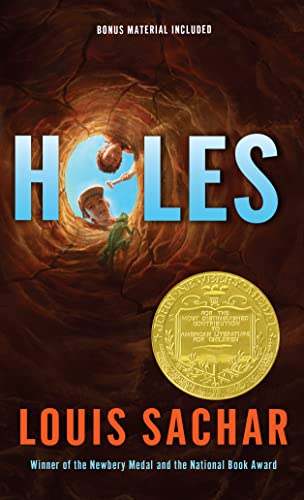 Book Cover Holes (Holes Series)