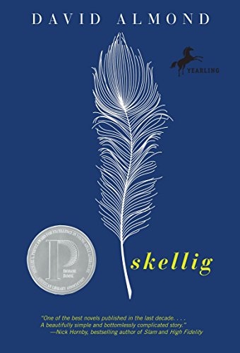Book Cover Skellig