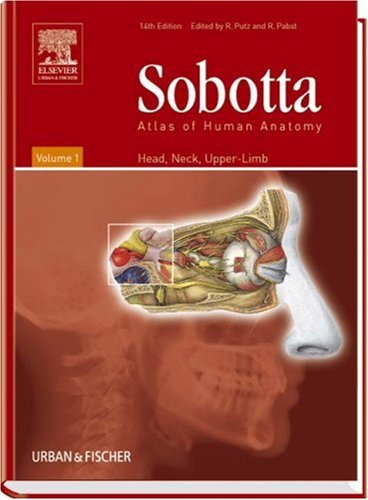 Atlas of Human Anatomy Volume 1: Head, Neck, Upper Limb (Atlas of Human Anatomy (Sobotta))