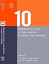 Ten Mathematical Essays on Approximation in Analysis and Topology