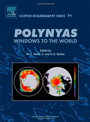 Polynyas: Windows to the World, Volume 74 (Elsevier Oceanography Series)