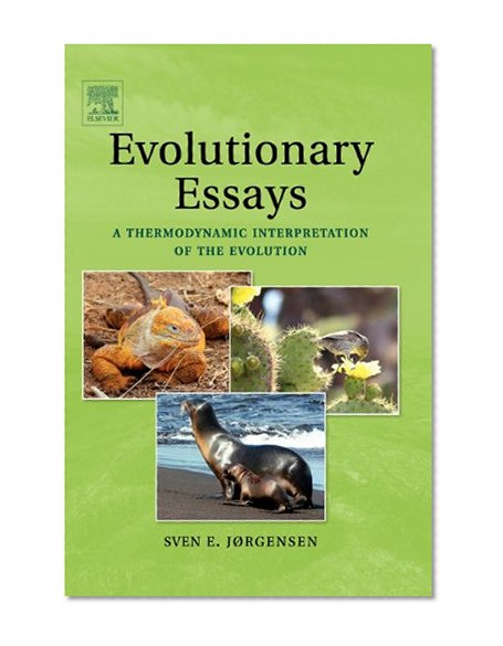 Evolutionary Essays:: A Thermodynamic Interpretation of the Evolution