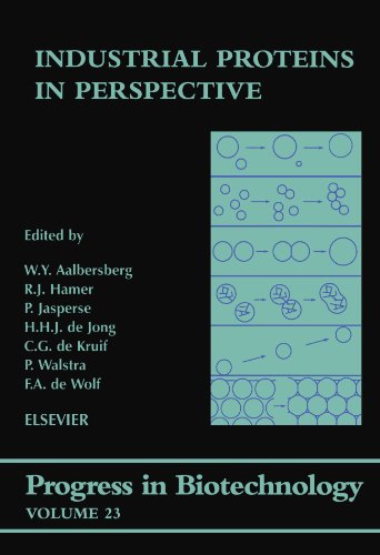 Industrial Proteins in Perspective