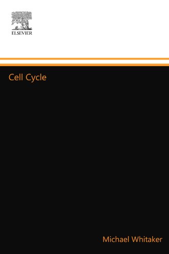 Cell Cycle
