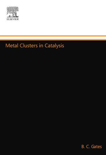 Metal Clusters in Catalysis