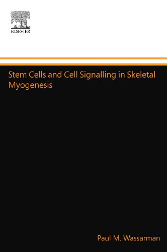 Stem Cells and Cell Signalling in Skeletal Myogenesis
