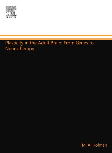 Plasticity in the Adult Brain: From Genes to Neurotherapy