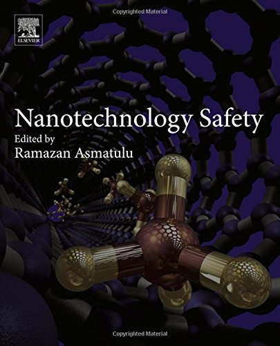 Nanotechnology Safety