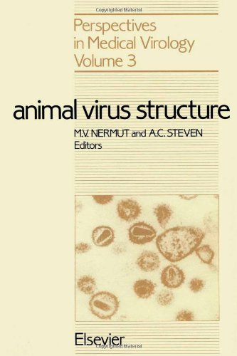Animal Virus Structure (Perspectives in Medical Virology)