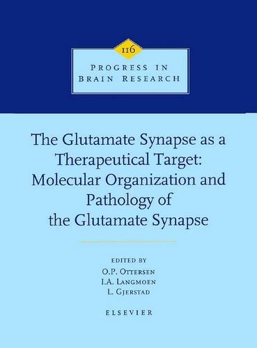 The Glutamate Synapse as a Therapeutic Target, Volume 116 (Progress in Brain Research)