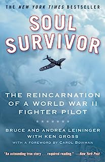 Soul Survivor: The Reincarnation of a World War II Fighter Pilot