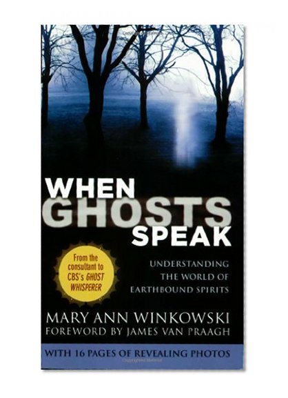 When Ghosts Speak: Understanding the World of Earthbound Spirits