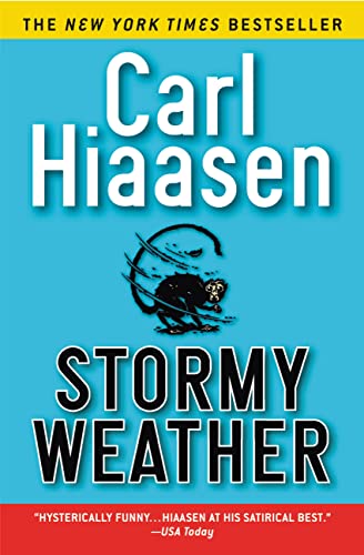 Book Cover Stormy Weather