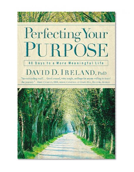 Perfecting Your Purpose: 40 Days to a More Meaningful Life