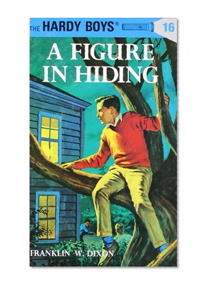A Figure in Hiding (The Hardy Boys #16)