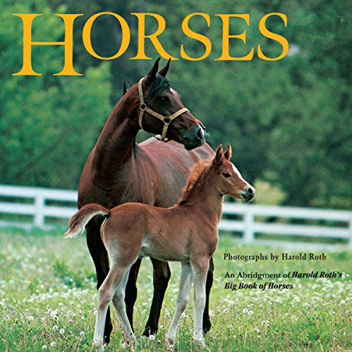 Book Cover Horses