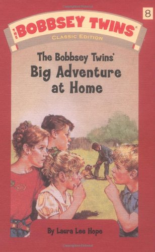 The Bobbsey Twins' Big Adventure at Home (The Bobbsey Twins #8)