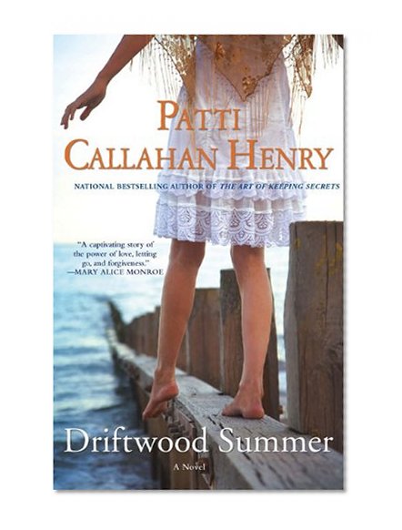 Book Cover Driftwood Summer
