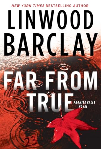 Far From True (Promise Falls Trilogy)