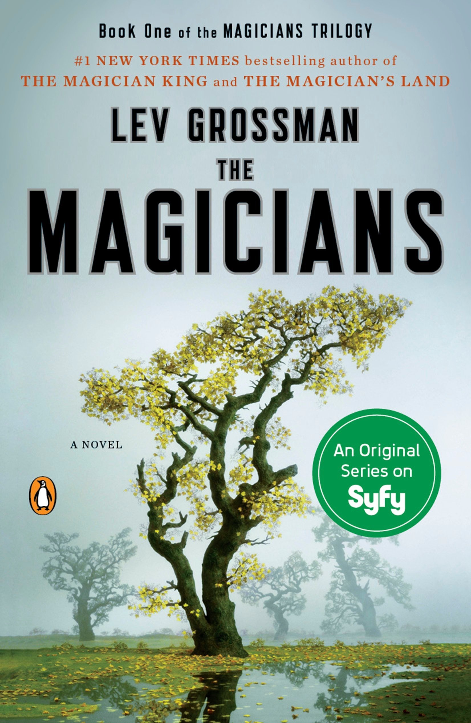 Book Cover The Magicians: A Novel (Magicians Trilogy)