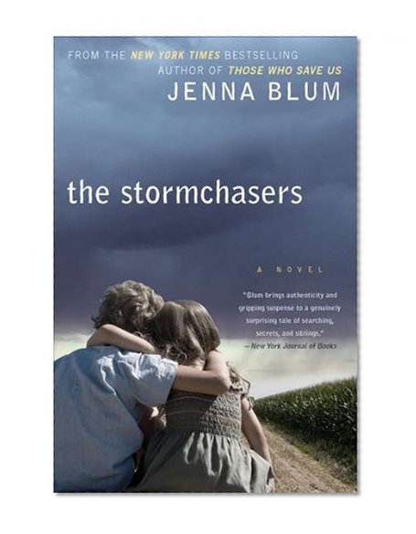 Book Cover The Stormchasers: A Novel